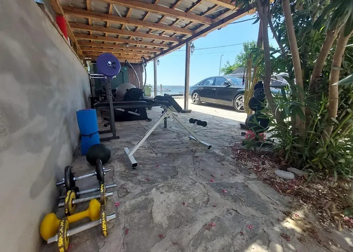 Seagull By The Sea * Sukošan